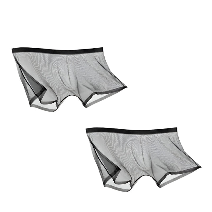Lisslune | ICE-MESH-BOXER SHORTS