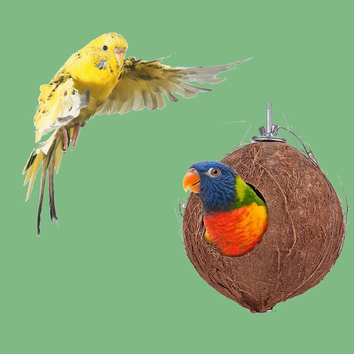 Lisslune | Coconut Shell Bird Nest with Wood Ladders, for Parrot, Budgies, Parakeet, Canary, Finch, Hamster, Rat