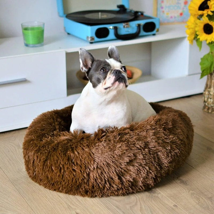 Lisslune | Fluffy Calming Pet Bed for Dogs and Cats