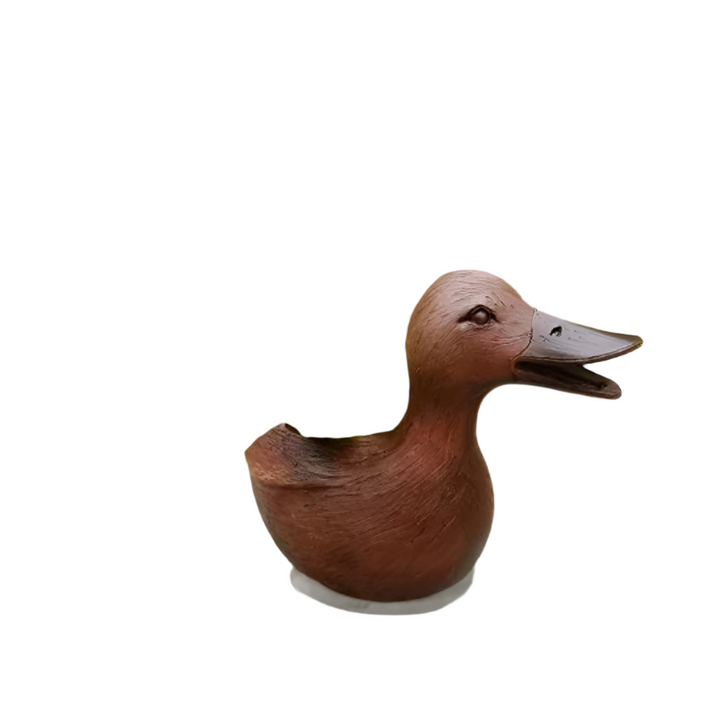 Lisslune | QuackBloom Ceramic Ducks Planter