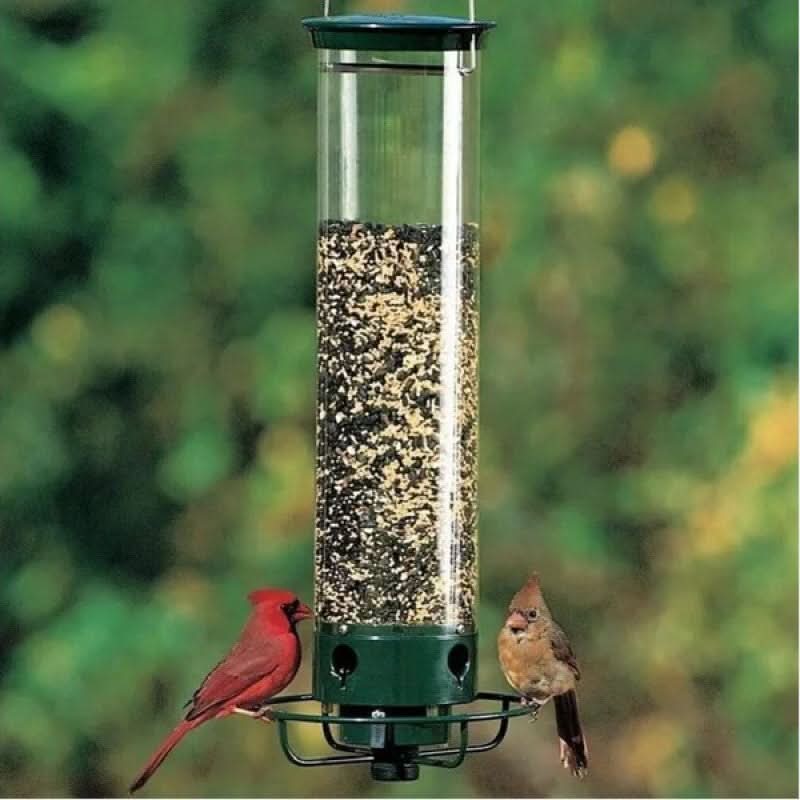 Lisslune | Squirrel-Proof Bird Feeder – 5lb Seed Tube with 4 Ports