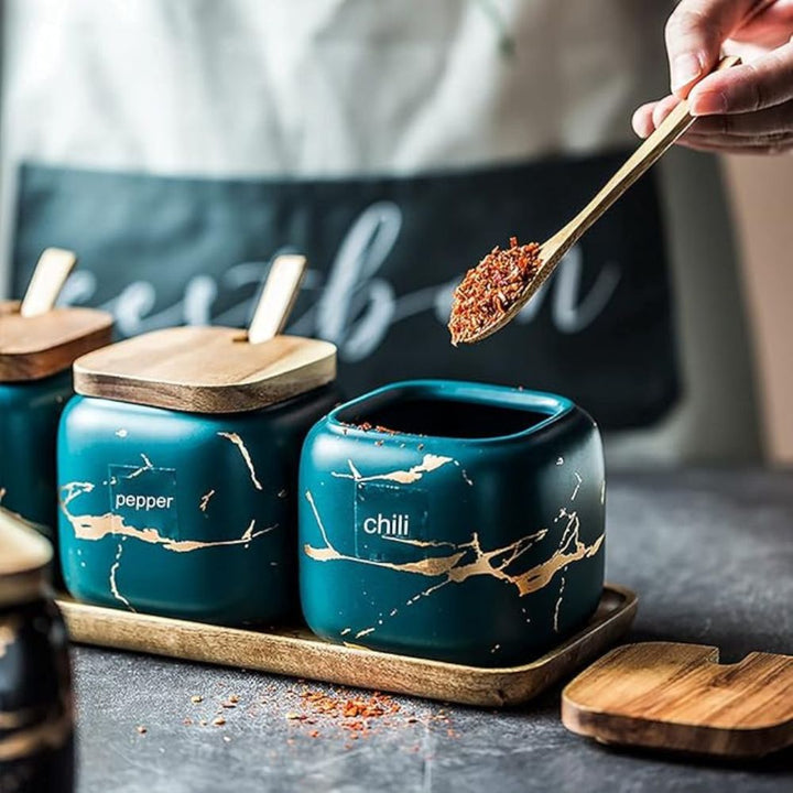 Lisslune | Royal Vein Porcelain Spice Jar Set