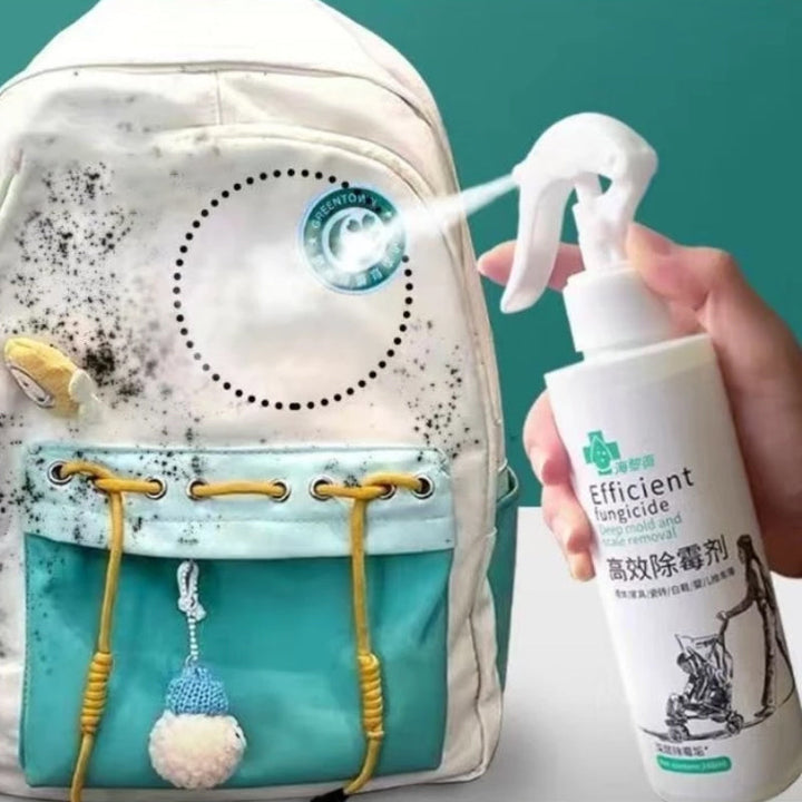 Lisslune | High-Efficiency Mold Remover