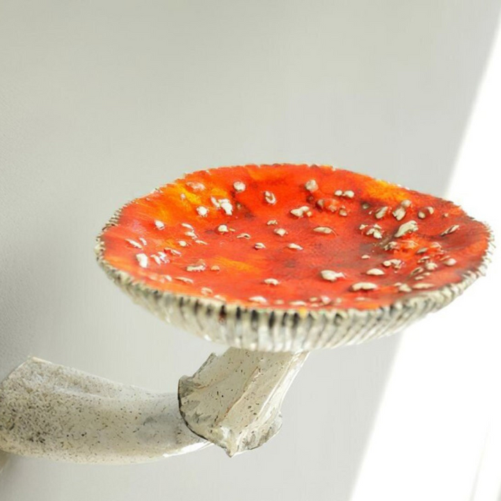 Lisslune | Floating Mushroom Shelf