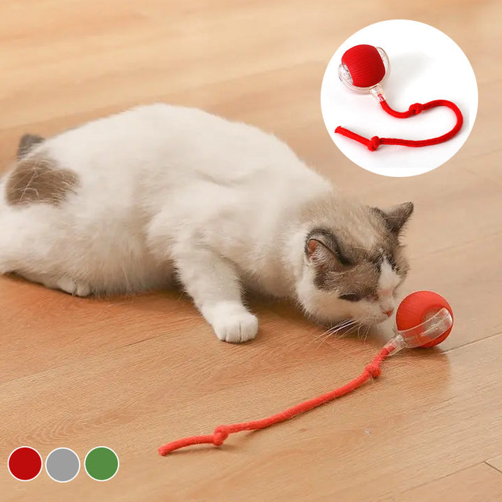 Lisslune | Indoor Cat interactive ball