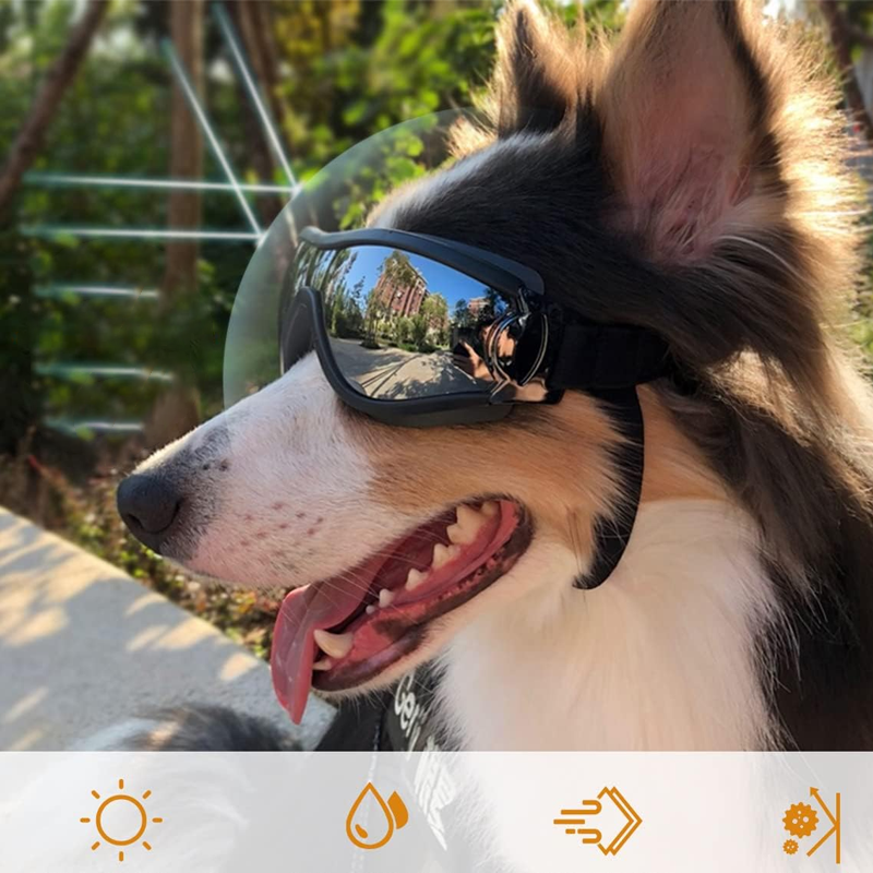 Lisslune | Outdoor Protection Glasses for Dogs
