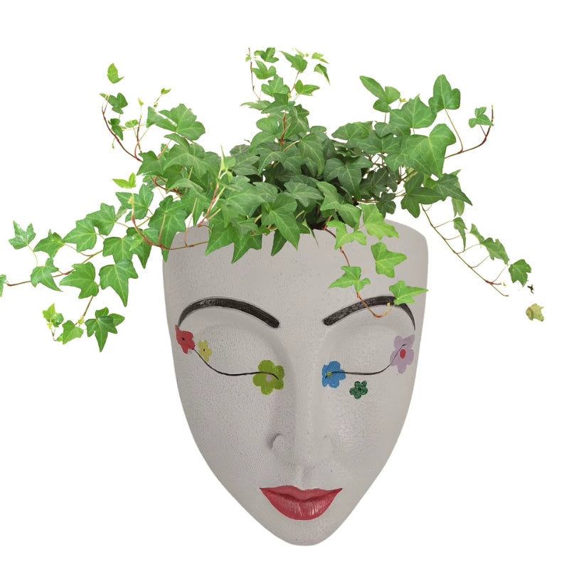 Lisslune | FaceBloom hanging plant box