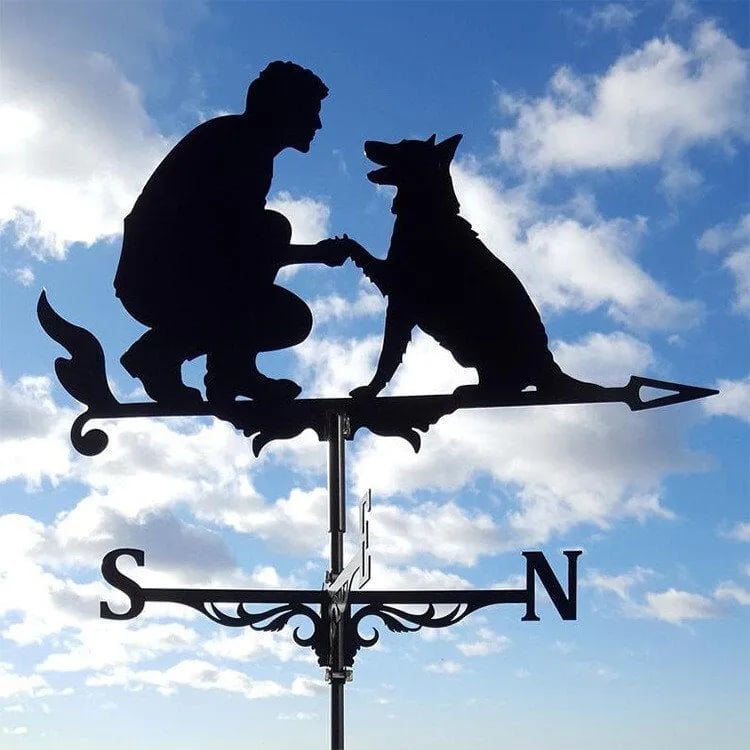 Lisslune | Stainless Steel Weather Vane!