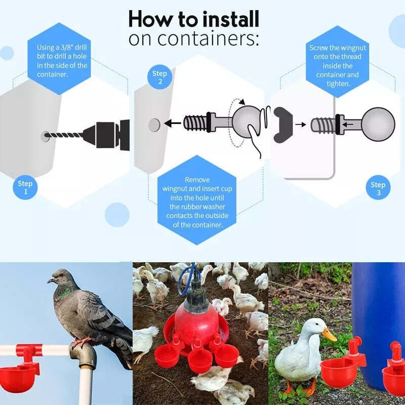 Lisslune | Automatic Chicken Water Cup Bird Coop