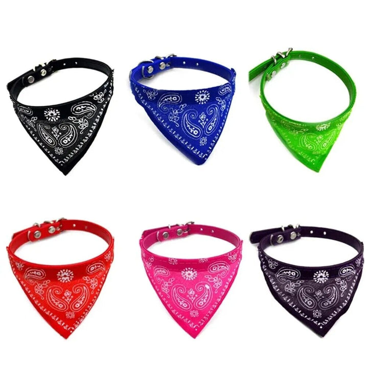 Lisslune | Pet Collar