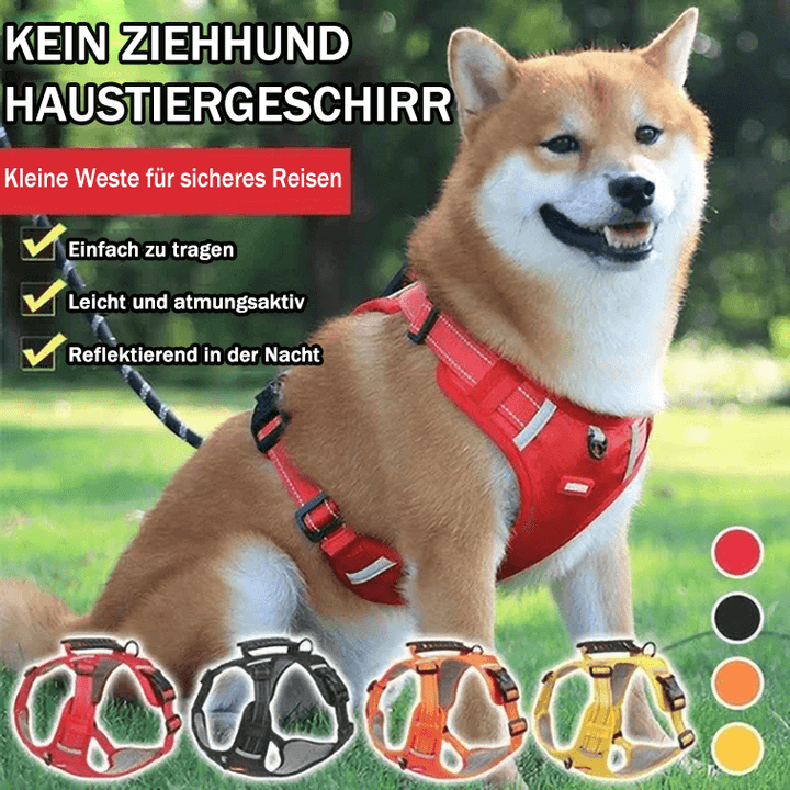 Lisslune | No Pull Dog Harness for Pets