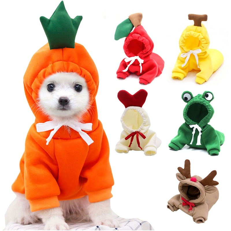Lisslune | Pet Hoodies