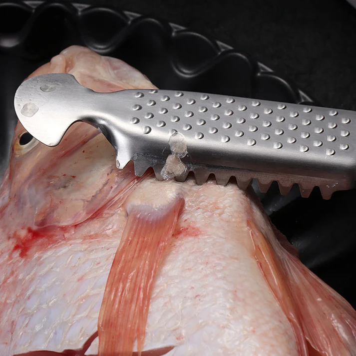Lisslune | Stainless Steel Fish Scales Remover
