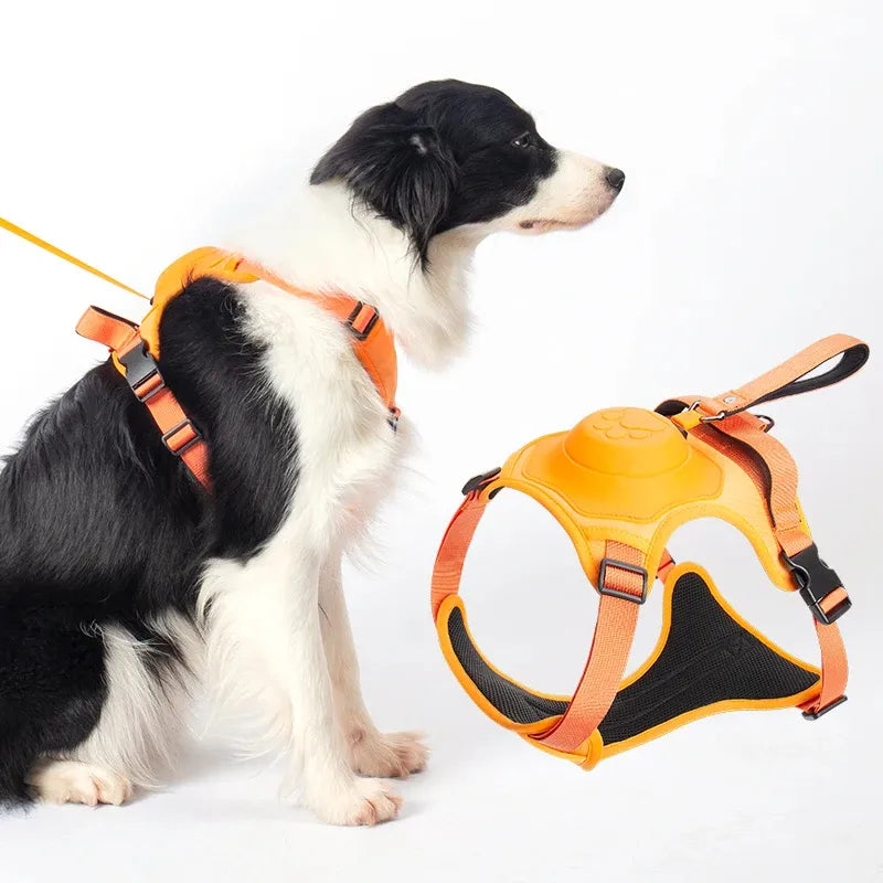 Lisslune | Dogpro | Winterproof dog leash and harness with integrated automatic retraction