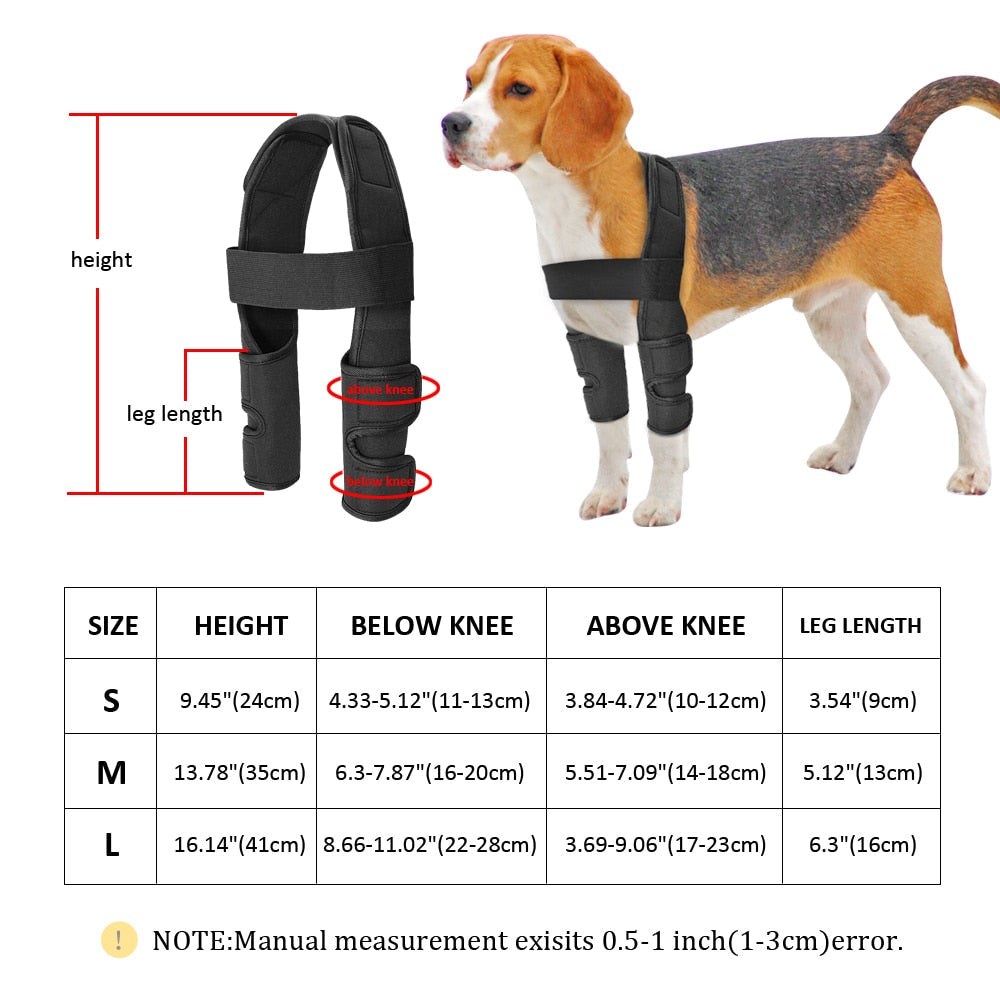 Lisslune | Pet back support