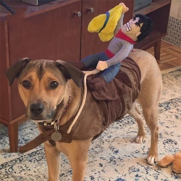 Lisslune | The Cowboy Rider Dog Costume