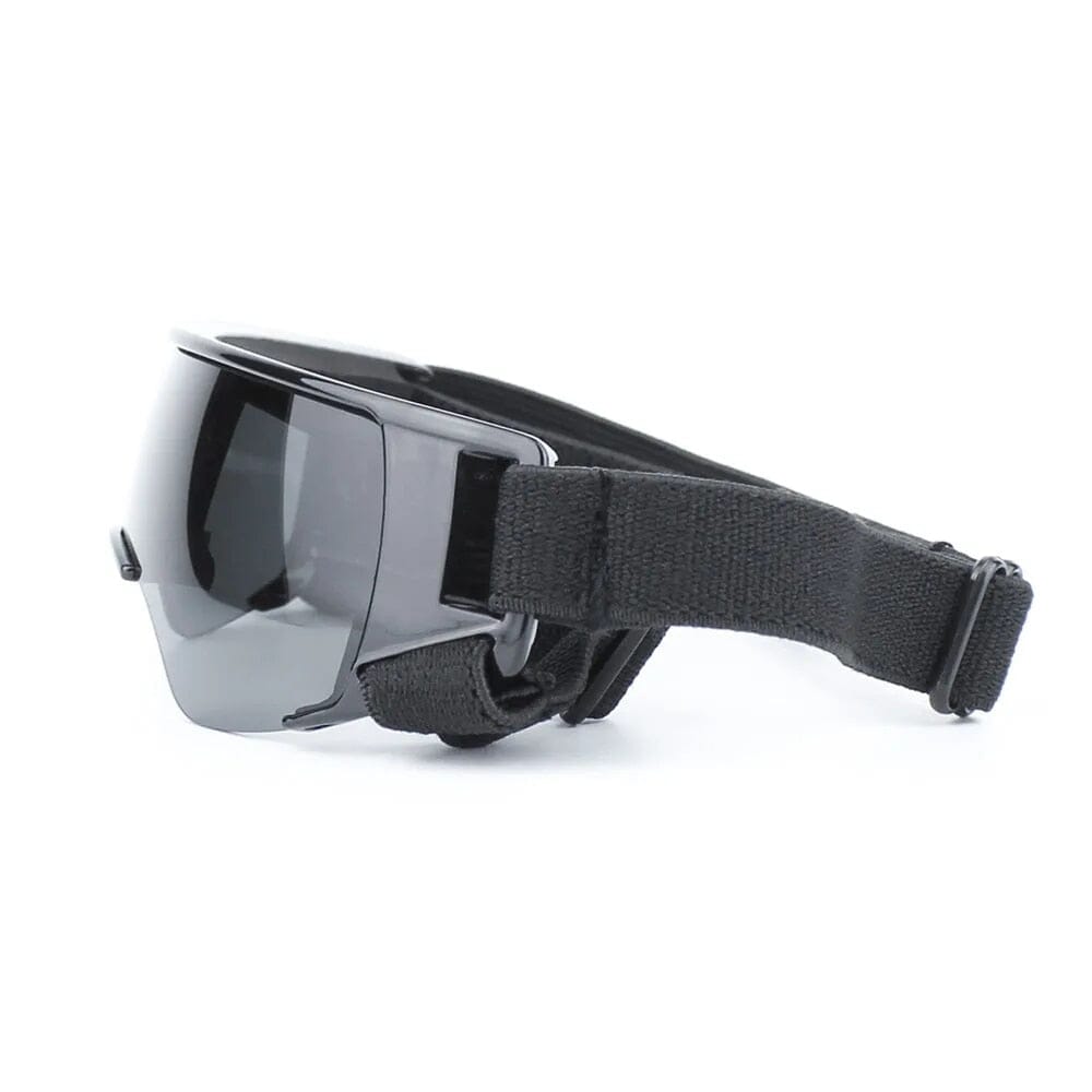 Lisslune | Pet Sunglasses