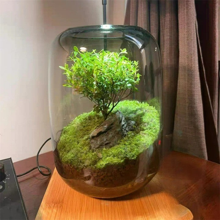 Lisslune | Micro Landscape Green Oasis Glass Vase