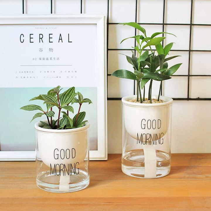 Lisslune | Self-watering Hydro-Flower Pot