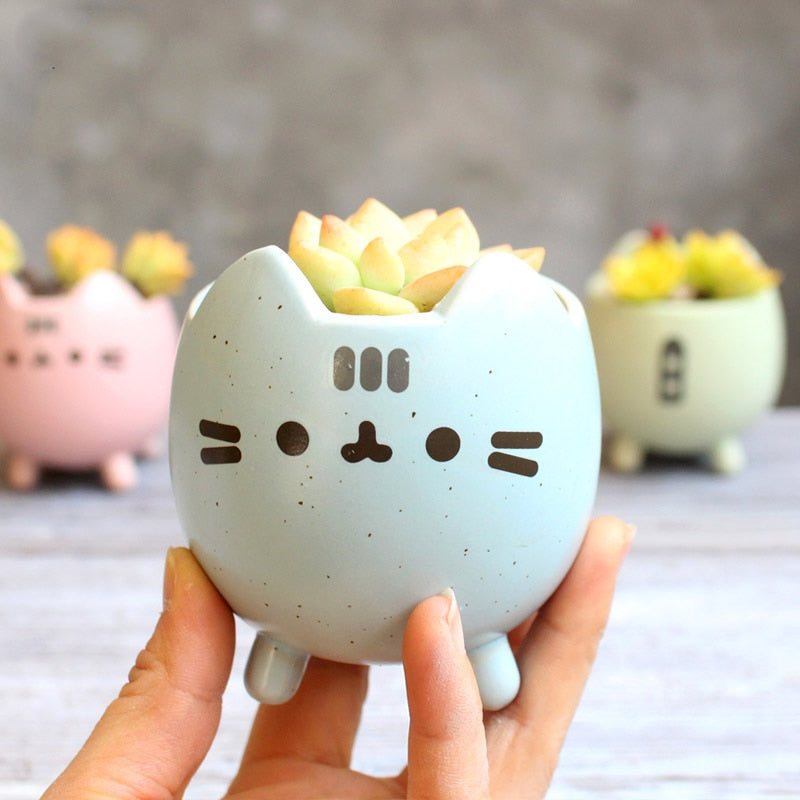 Lisslune | WhiskerBloom Succulent Pot – Low-Maintenance Ceramic Garden Box in Box Shape