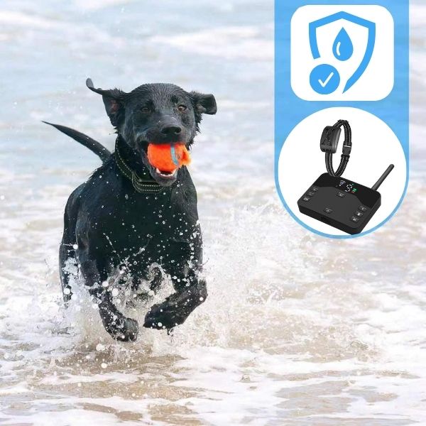 Lisslune | 2-in-1 Wireless Pet Training Collars and Dog Fence Sound Check Electric and Vibrating Shock Dog Collar Fence From 65 to 1640 Feet