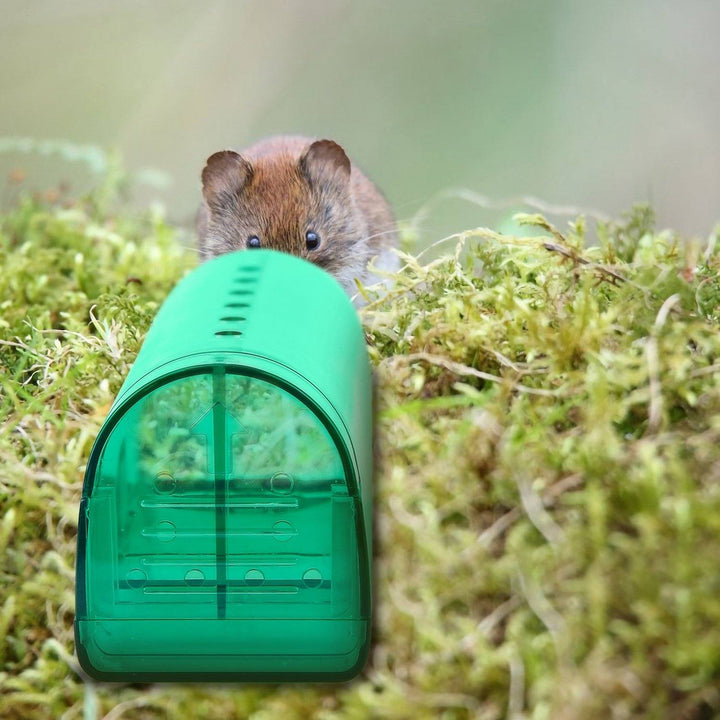 Lisslune | 2-piece: Reusable Humane Mouse Trap
