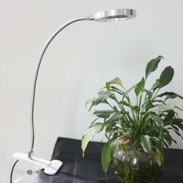 Lisslune | Creative simple USB pants button LED reading clip desk lamp