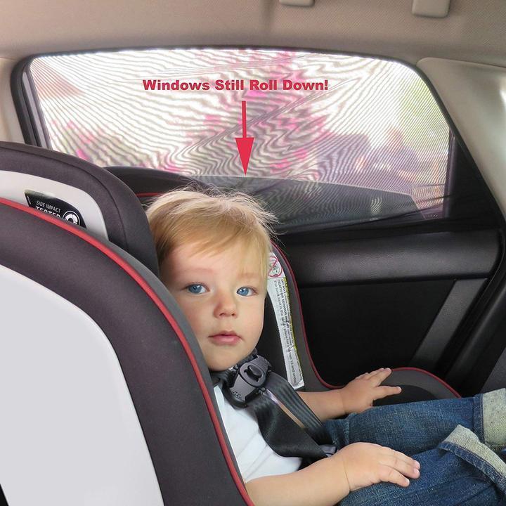 Lisslune | Universal Car Window Screens (Fits all Cars)