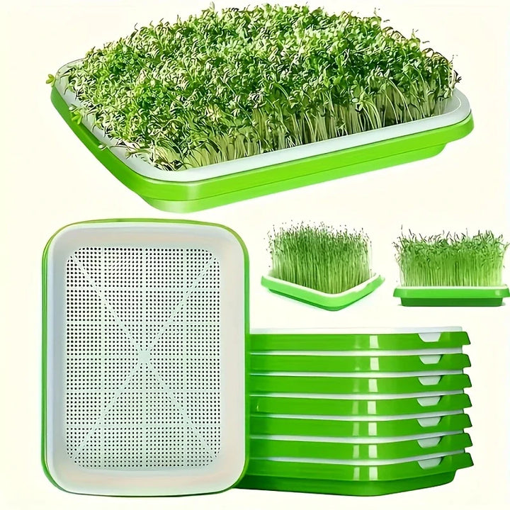 Lisslune | Germination trays with lid – Double-layer seed sowing tray for effective seed germination