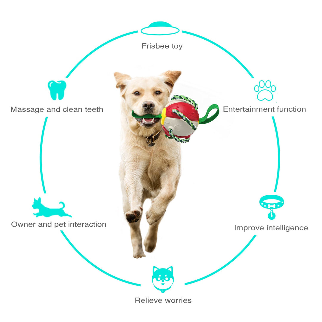 Lisslune | Interactive dog toy