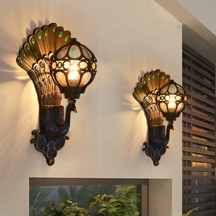 Skørter | Clear Glass Sphere Wall Light Classic 1 Head Courtyard Wall Lighting with Peacock Backplate in Black