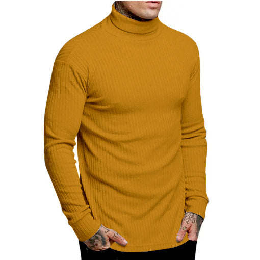 Men's stylish turtleneck sweater Lisslune
