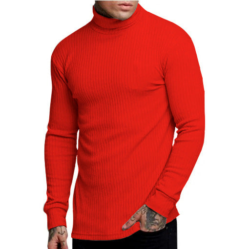 Men's stylish turtleneck sweater Lisslune