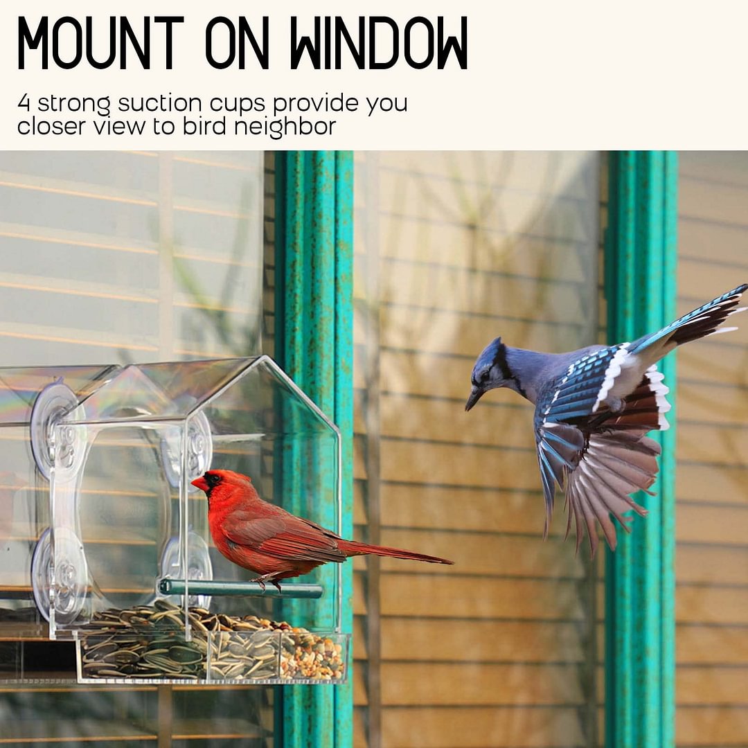 Lisslune | Bird feeder in the window for outdoor use