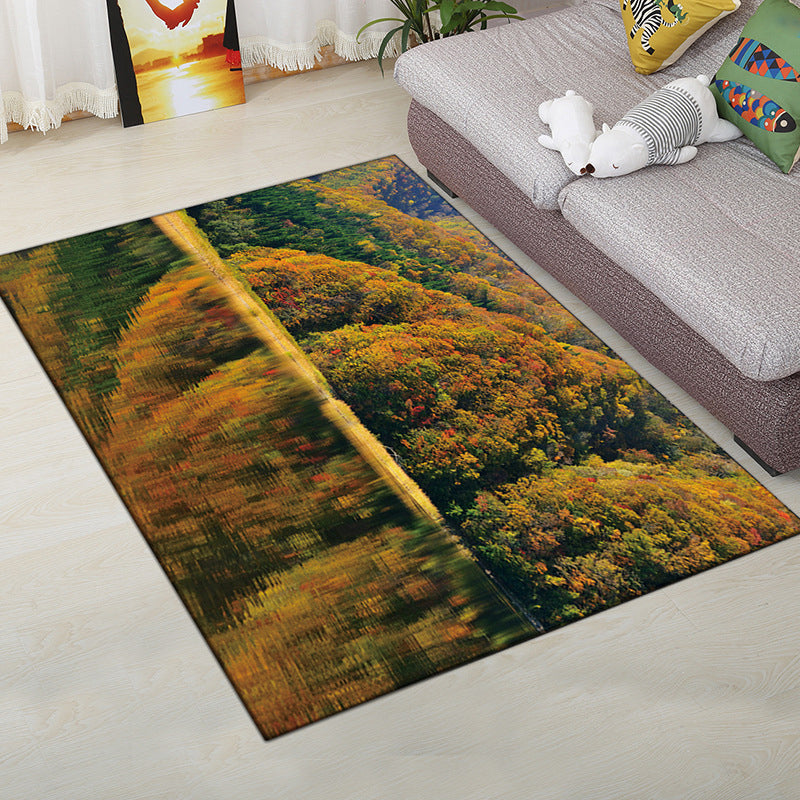 Lisslune | Multi-Color Modern Rug Polyester Digital Graphic Living Room Rug Non-Slip Back Pet-Friendly Washable Rug for Guest Room