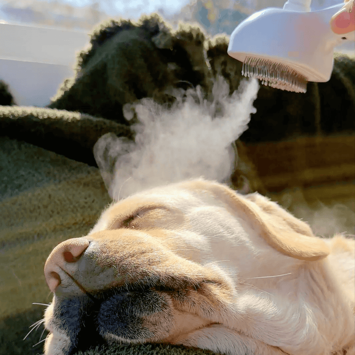 Lisslune | DampfVacht Steam Brush – Gentle Care for Every Dog Coat