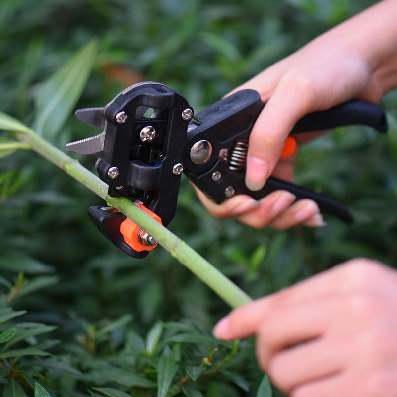 Lisslune | Garden Professional Grafting Cutting Tool