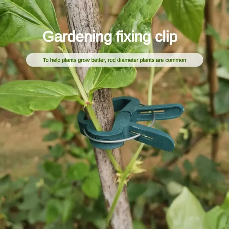Lisslune | Garden clip set – plant loops for plant supports and garden care