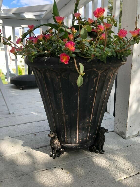 Lisslune | Potty Feet Plant Pot Feet