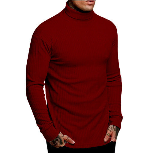 Men's stylish turtleneck sweater Lisslune