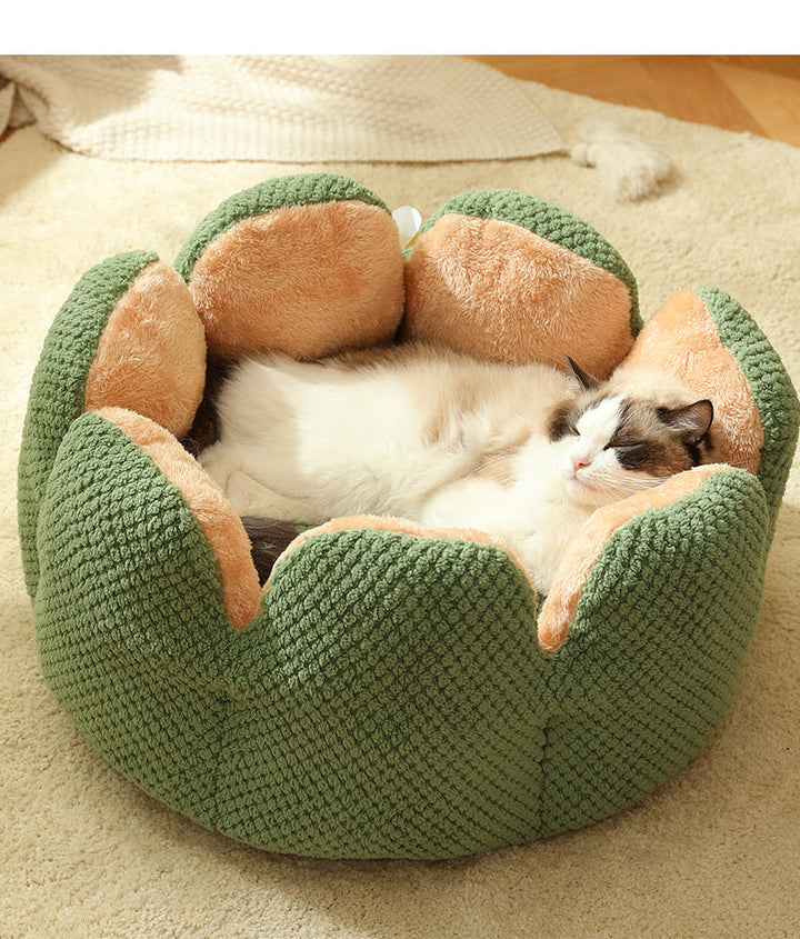 Lisslune | Warm Cactus Bed