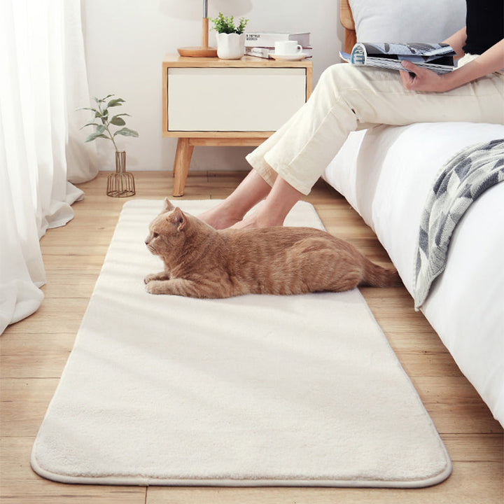 Lisslune | Relaxed Bedroom Rug Multicolored Simple Rug Lambswool Non-Slip Back Easy to Care for Washable Indoor Rug