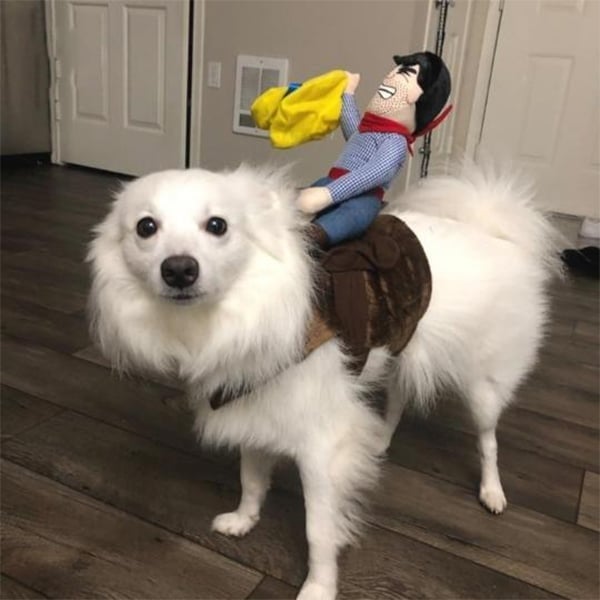 Lisslune | The Cowboy Rider Dog Costume