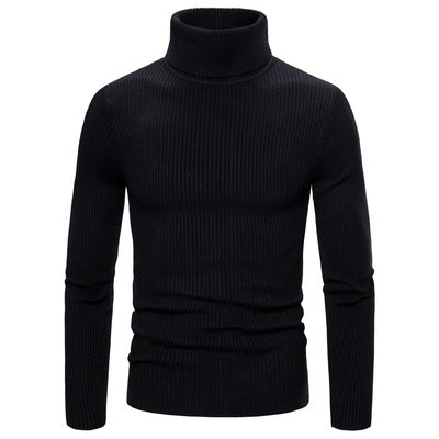 Men's Turtleneck Sweater Made Of Fine Rib Structure Lisslune
