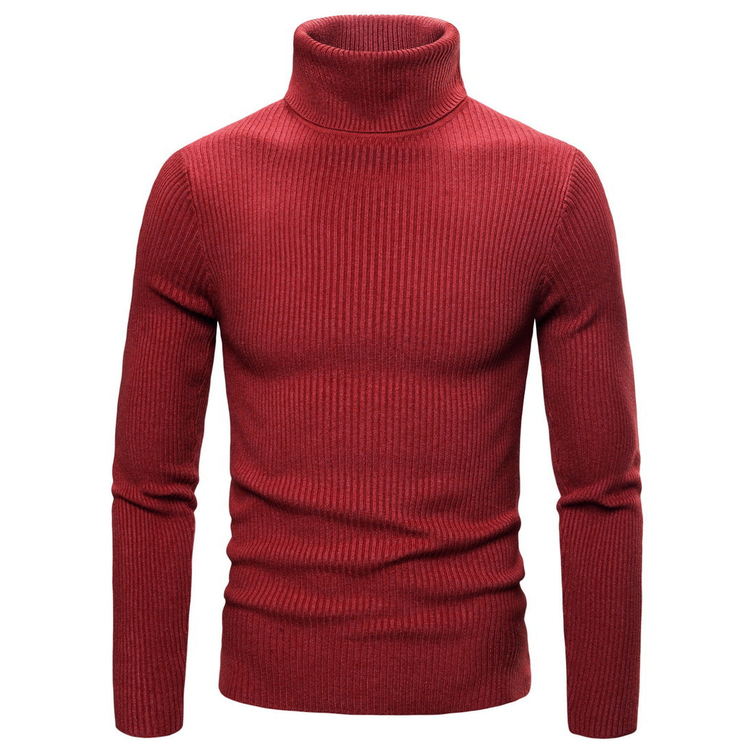 Men's Turtleneck Sweater Made Of Fine Rib Structure Lisslune