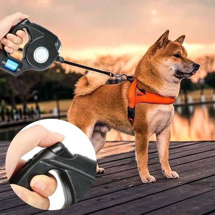 Lisslune | AMÉLIE LUMIÈRE – LED dog leash with integrated flashlight for safe evening walks