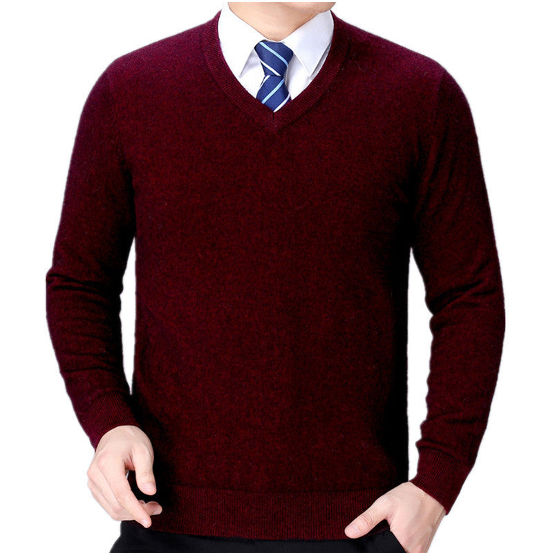 Men's V-neck knitted sweater made of soft cotton blend Lisslune