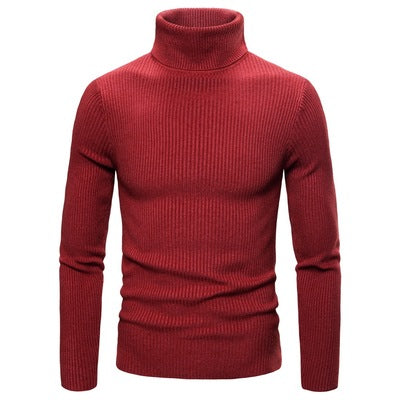 Men's Turtleneck Sweater Made Of Fine Rib Structure Lisslune