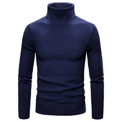 Men's Turtleneck Sweater Made Of Fine Rib Structure Lisslune