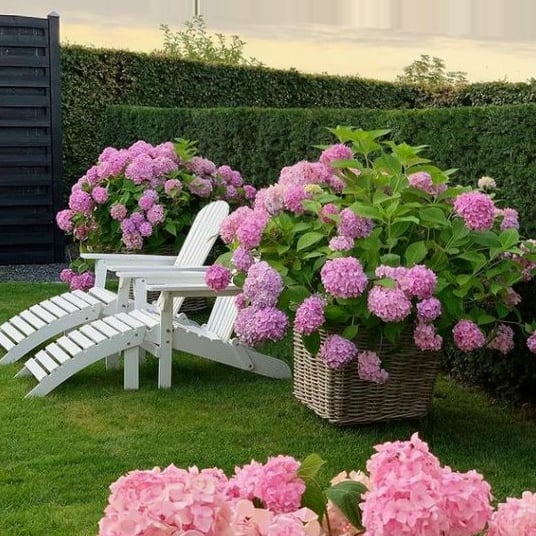Lisslune | Outdoor Artificial Hydrangea Flowers